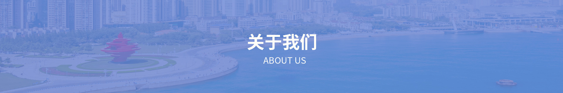 关于青岛金佰信